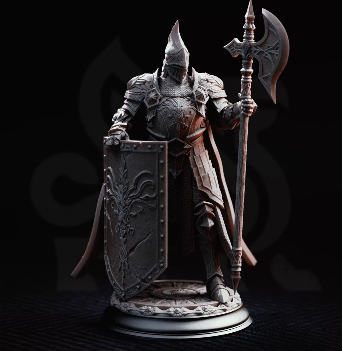 Human/Elf/Humanoid- Paladin/Warrior/Fighter/Knight