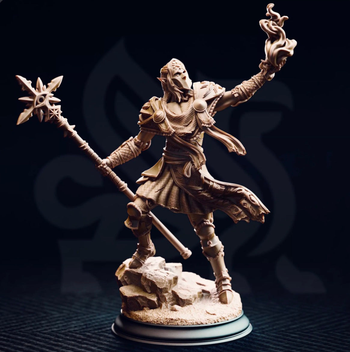 Elf- Wizard/Warlock/Scorcerer