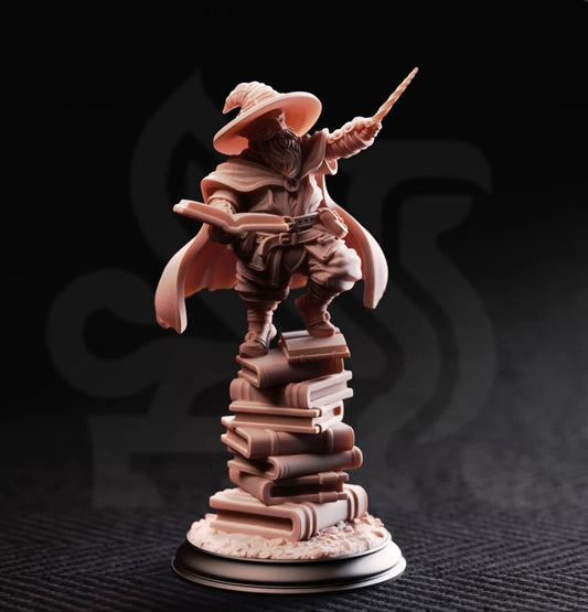 Gnome/Dwarf/Halfling- Wizard/Sorcerer/Warlock/Artificer