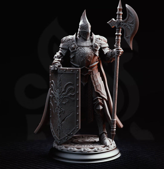 Human/Elf/Humanoid- Paladin/Warrior/Fighter/Knight